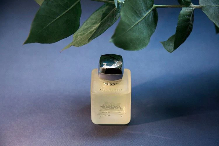Allegria (Discontinued) - Image 2