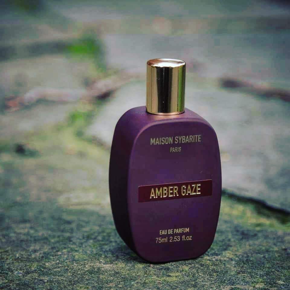 Amber Gaze - Image 2