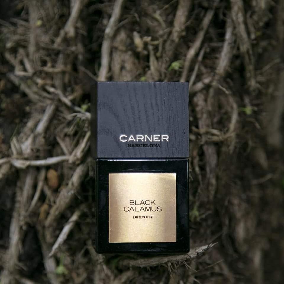 Black Calamus (Discontinued) - Image 2