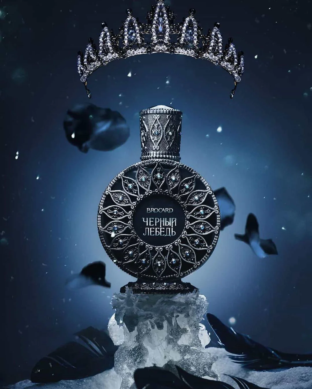 Black Swan Princess | Черный Лебедь - Image 4