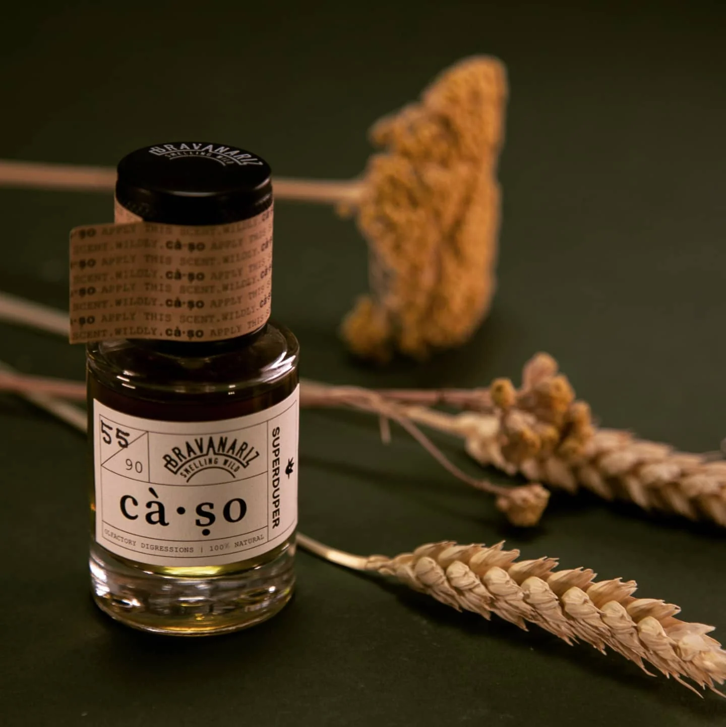 CÀ·SO - Image 2