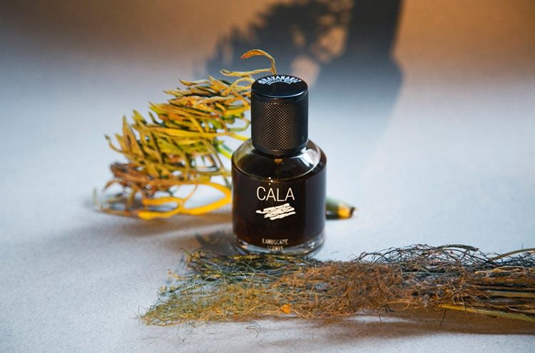 Cala - Image 3