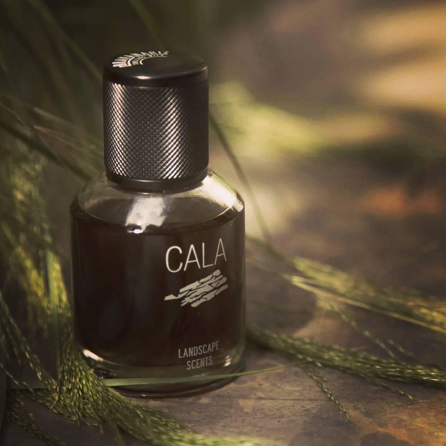 Cala - Image 4
