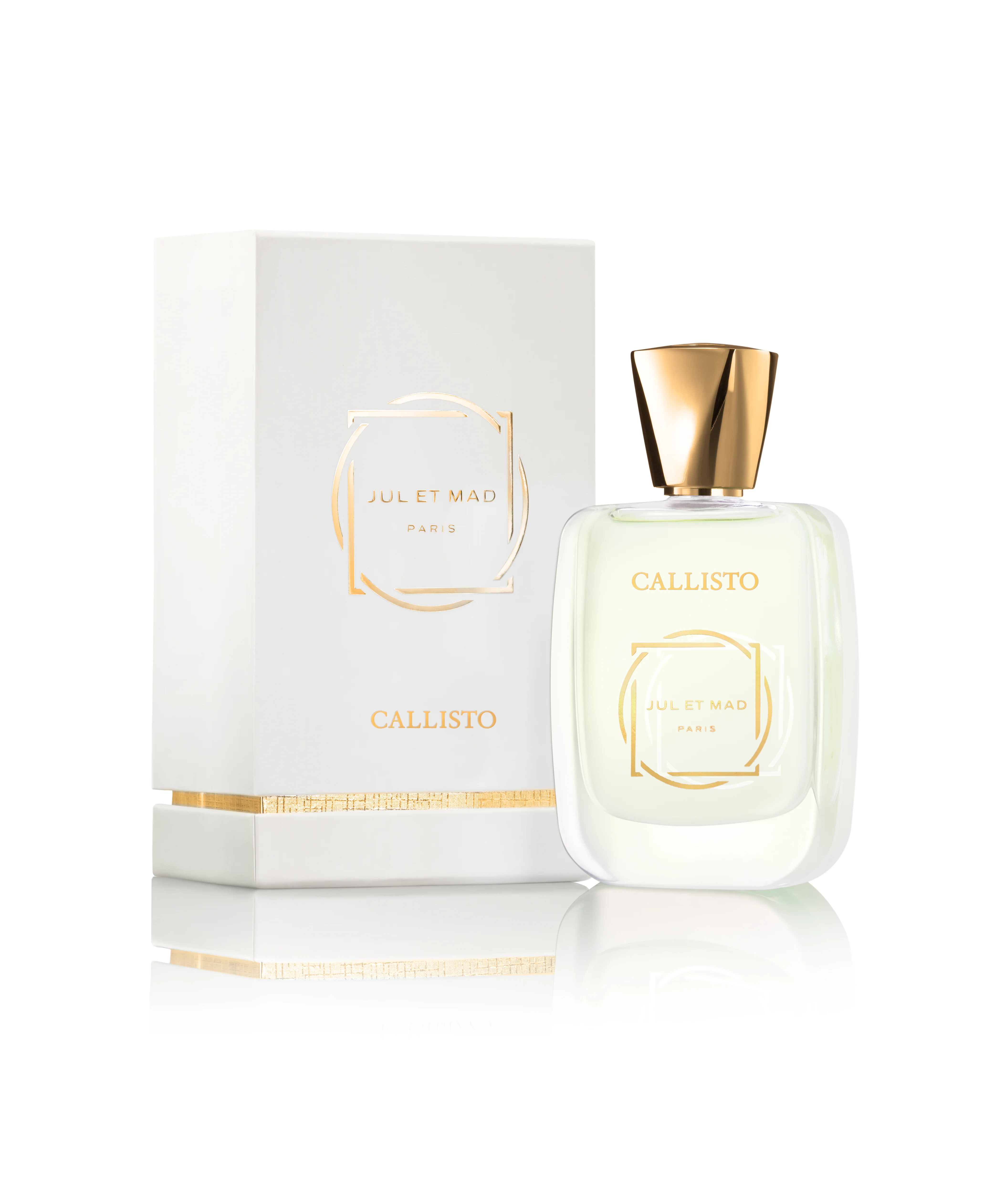 Callisto - Image 2