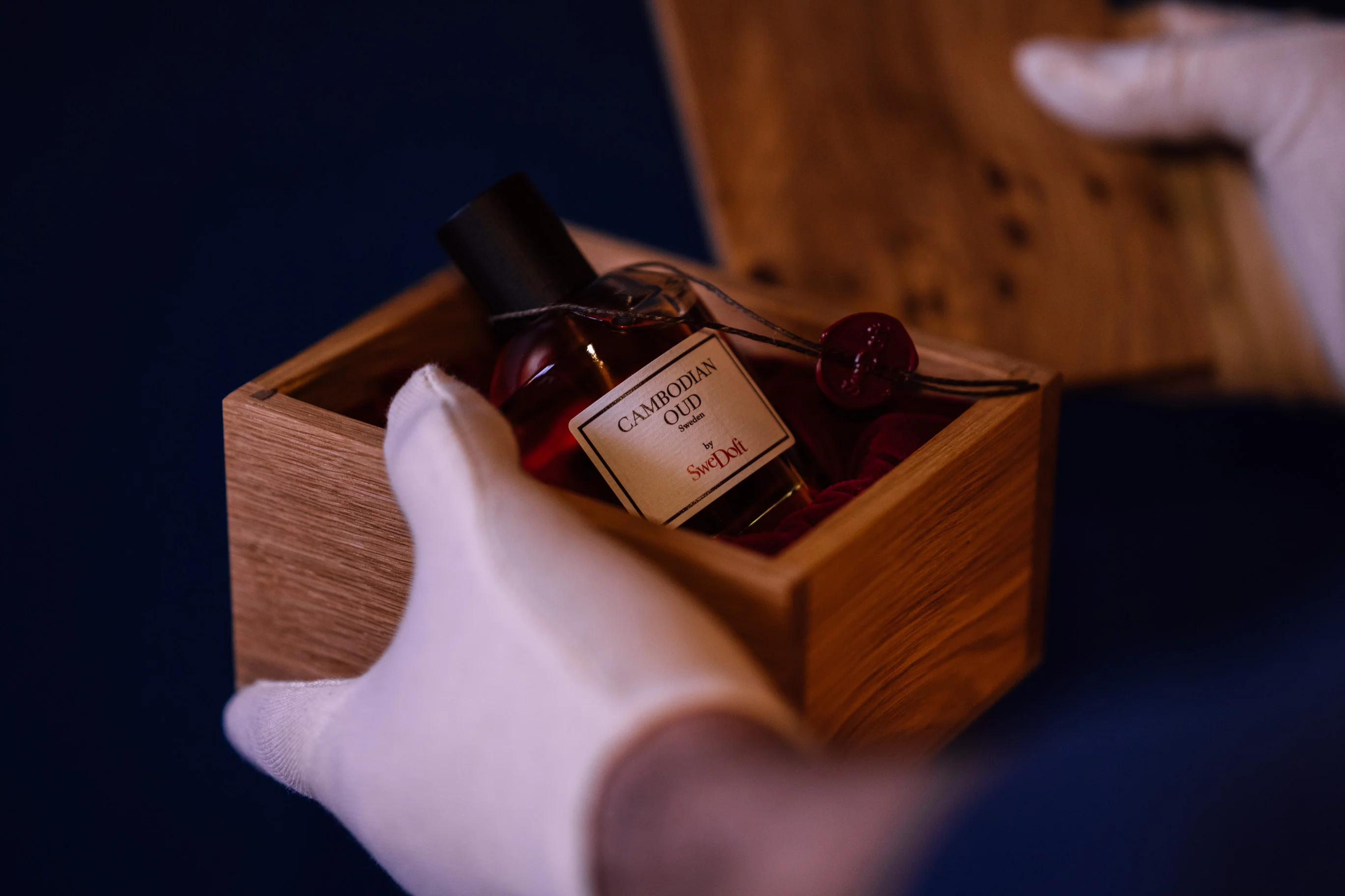 Cambodian Oud - Image 2