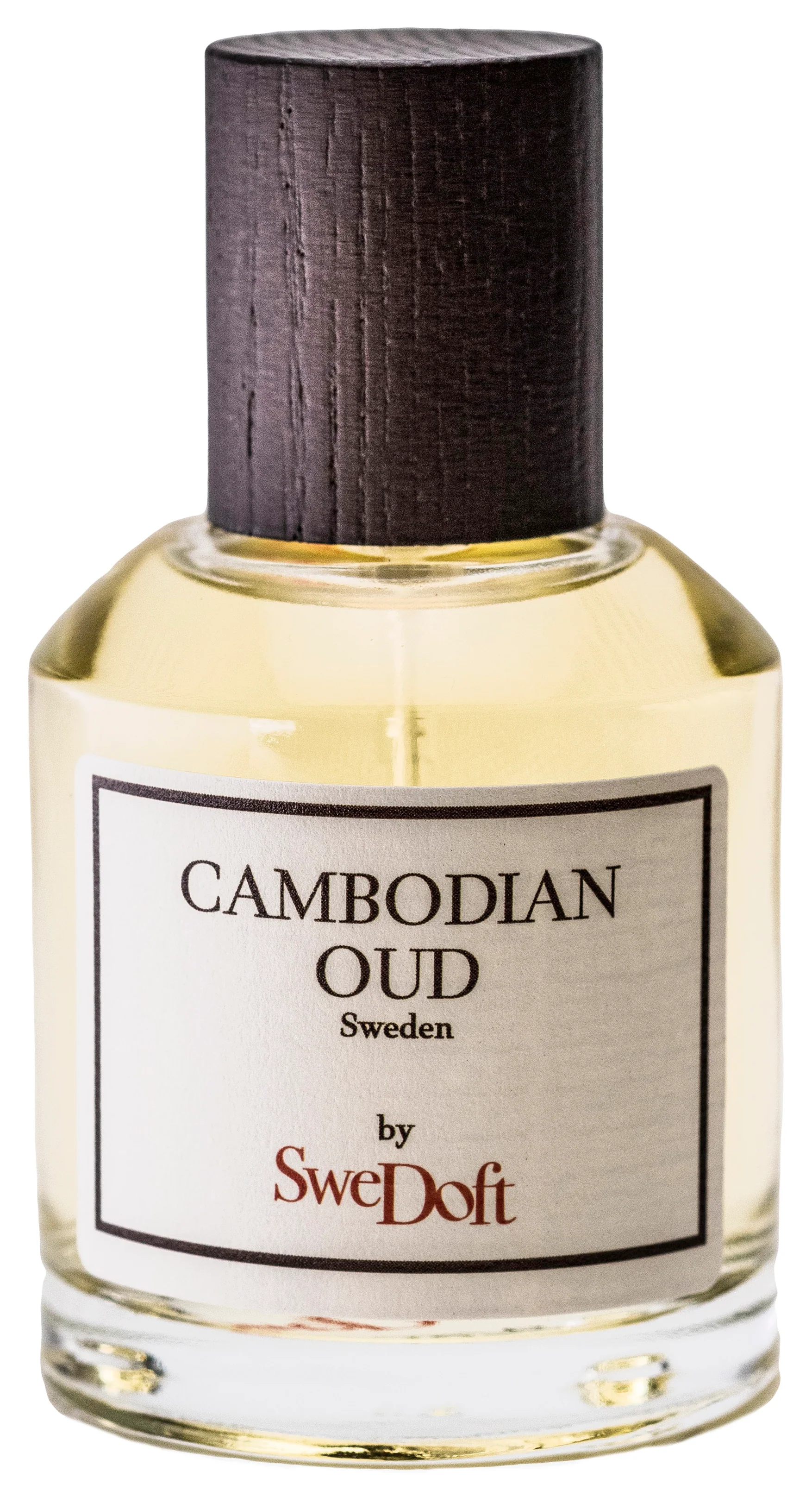 Cambodian Oud - Image 4