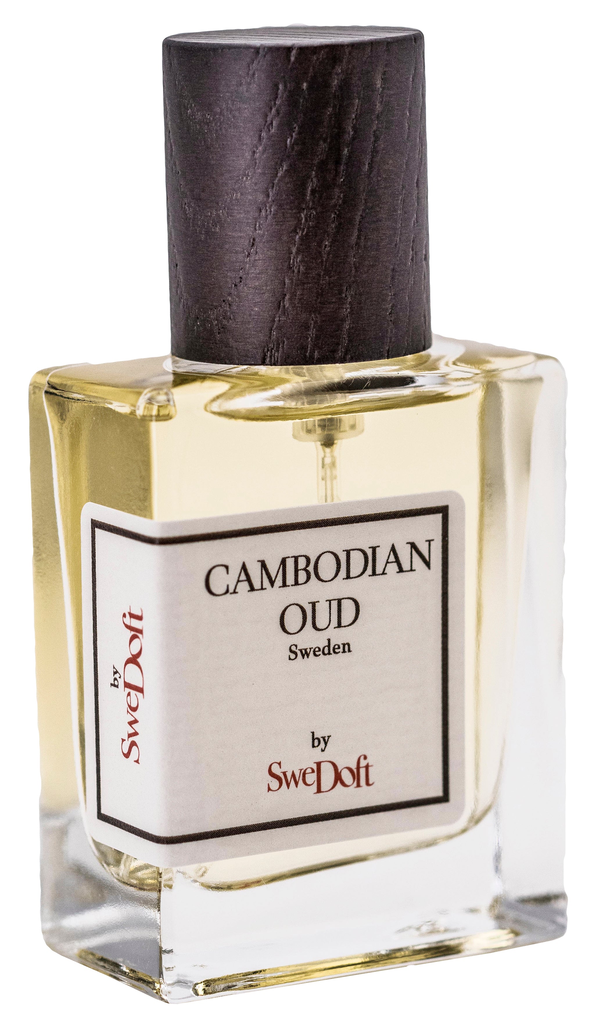 Cambodian Oud - Image 5