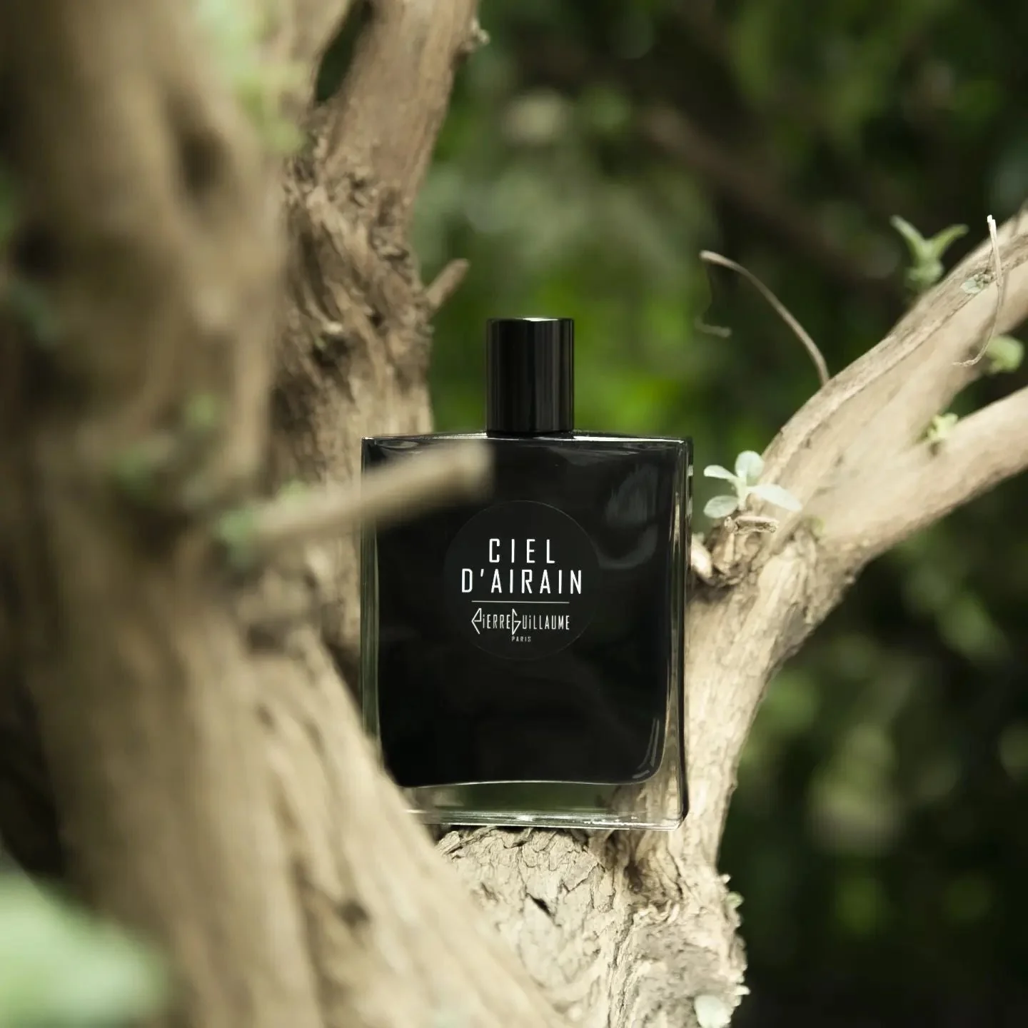 Ciel D’Airain (Discontinued) - Image 2
