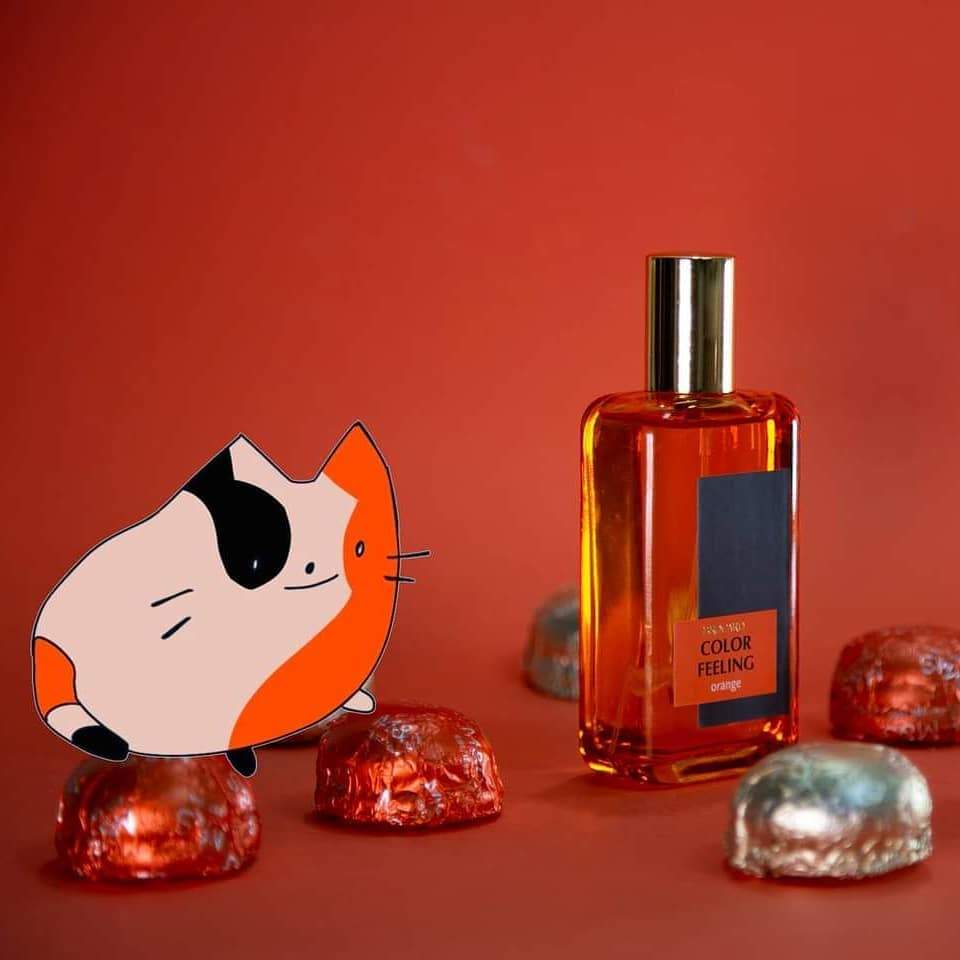 Color Feeling. Orange (Discontinued) - Image 2