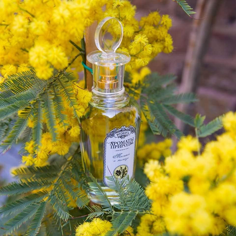 Scents of Nature | Tulip and Mimosa (Discontinued) - Image 3