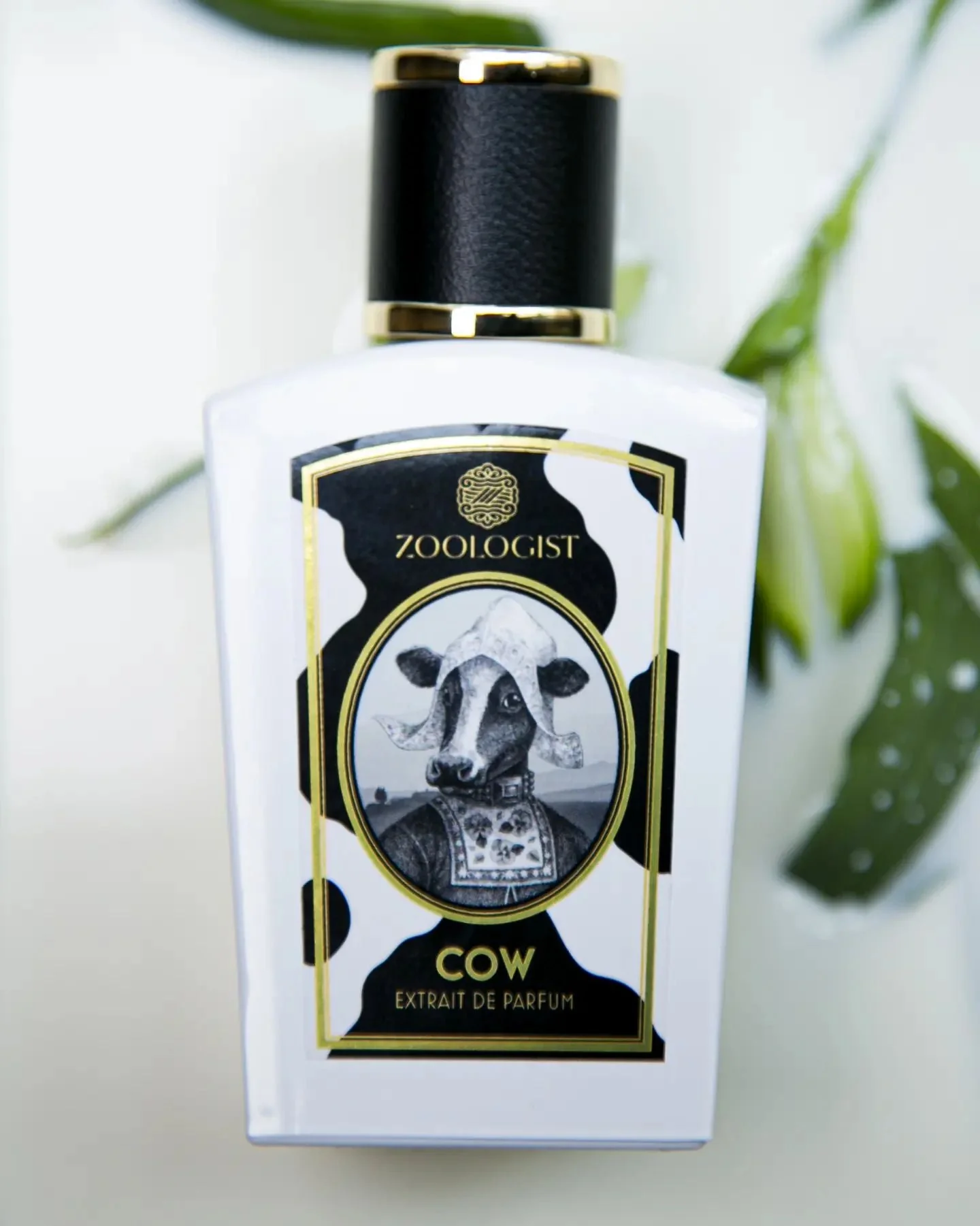 Cow (Limited Edition) - Image 3
