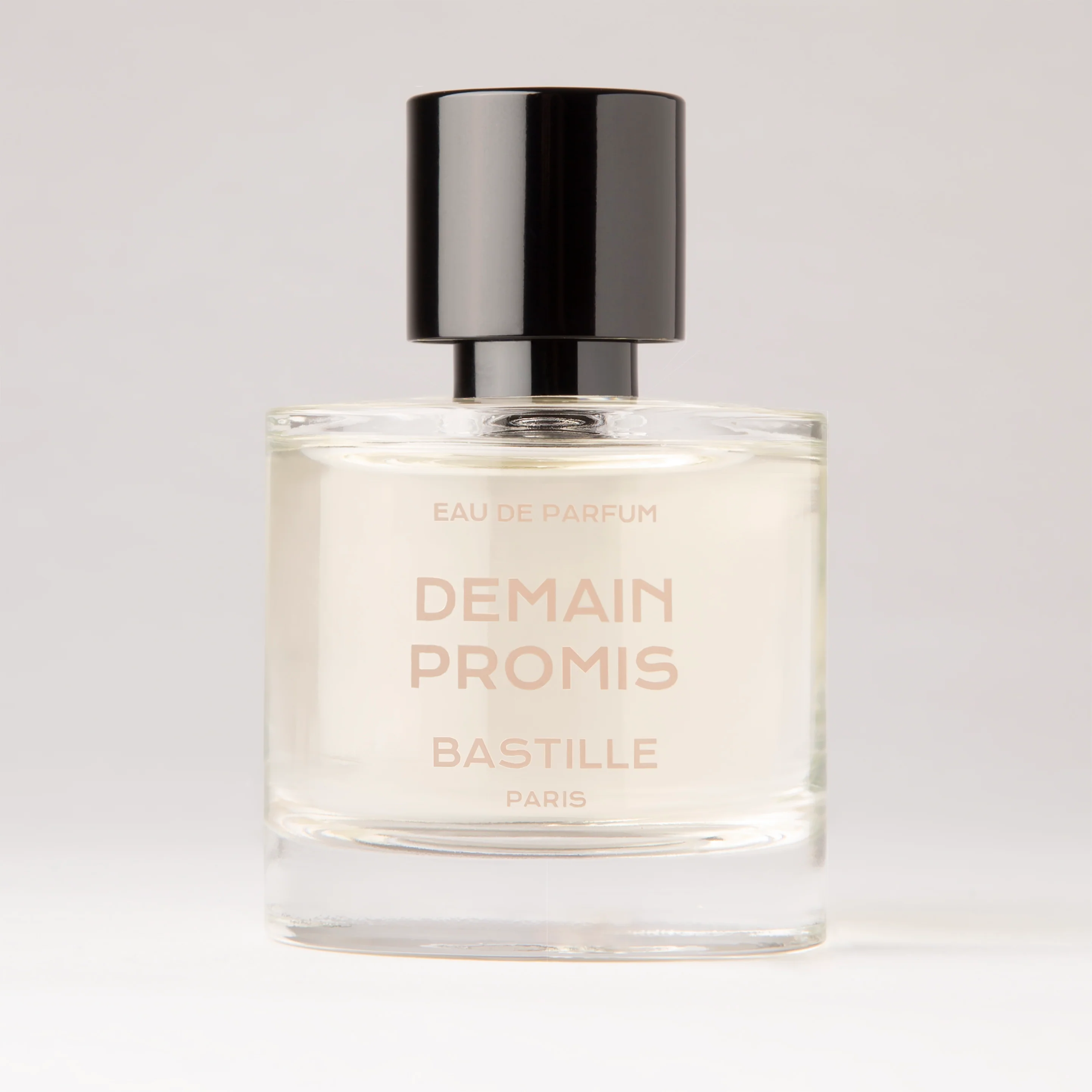 Demain Promis (Tomorrow, I promise) - Image 3