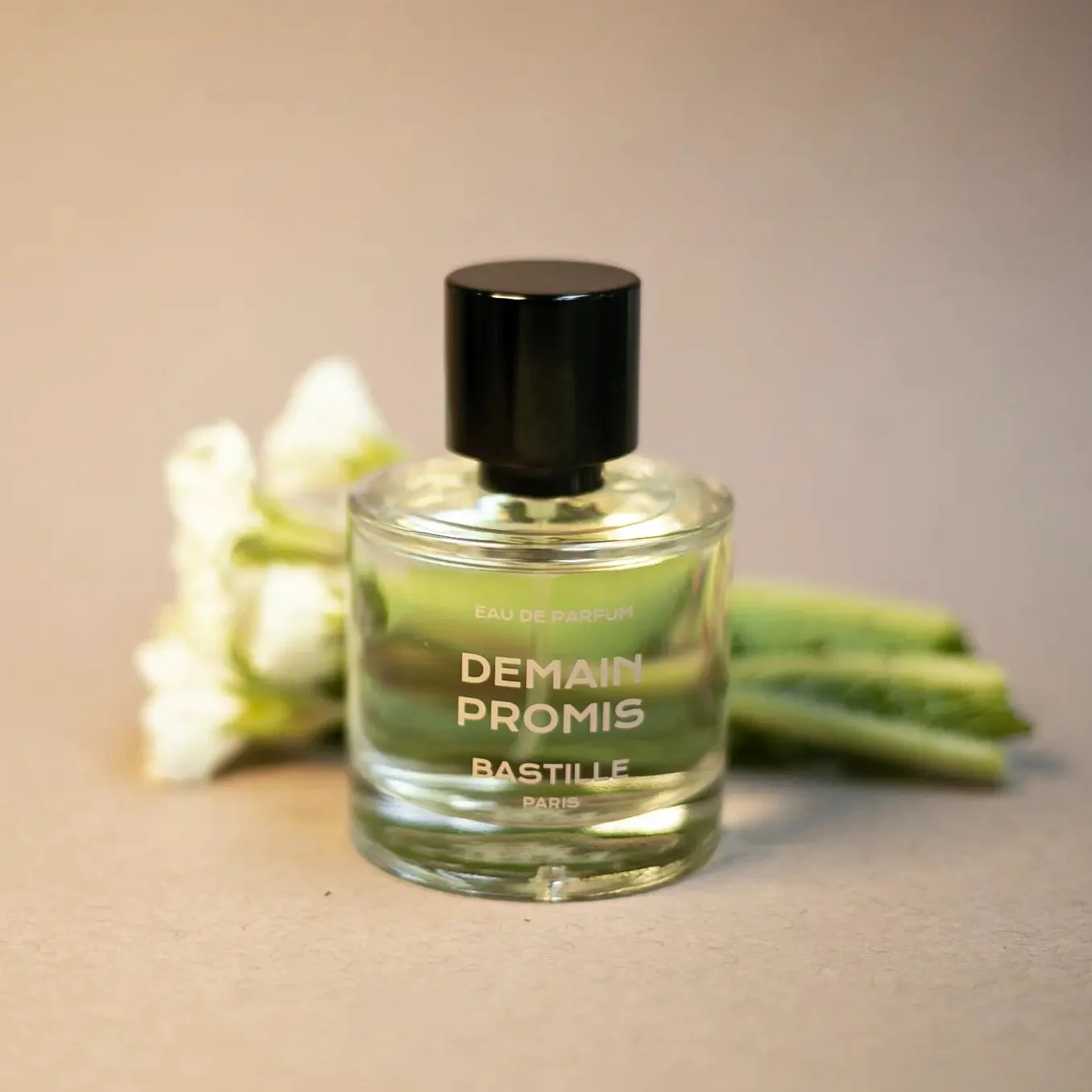 Demain Promis (Tomorrow, I promise) - Image 7