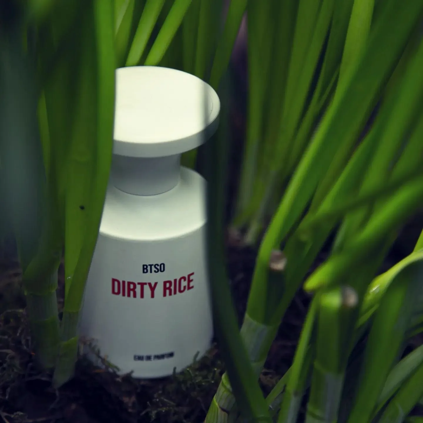 DIRTY RICE - Image 3