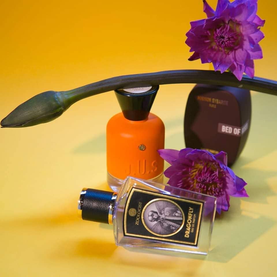 Dragonfly (Discontinued) - Image 3