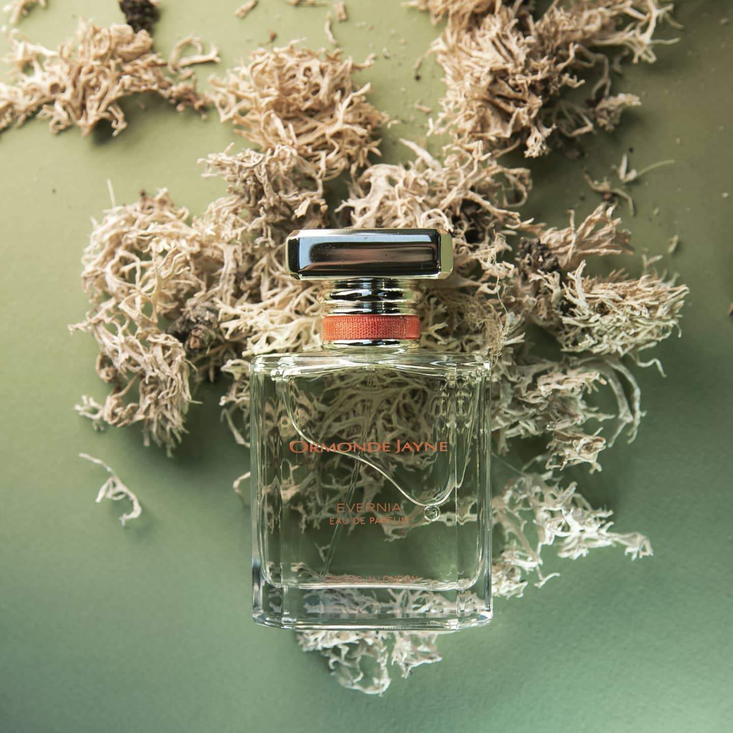 Evernia (Discontinued) - Image 3