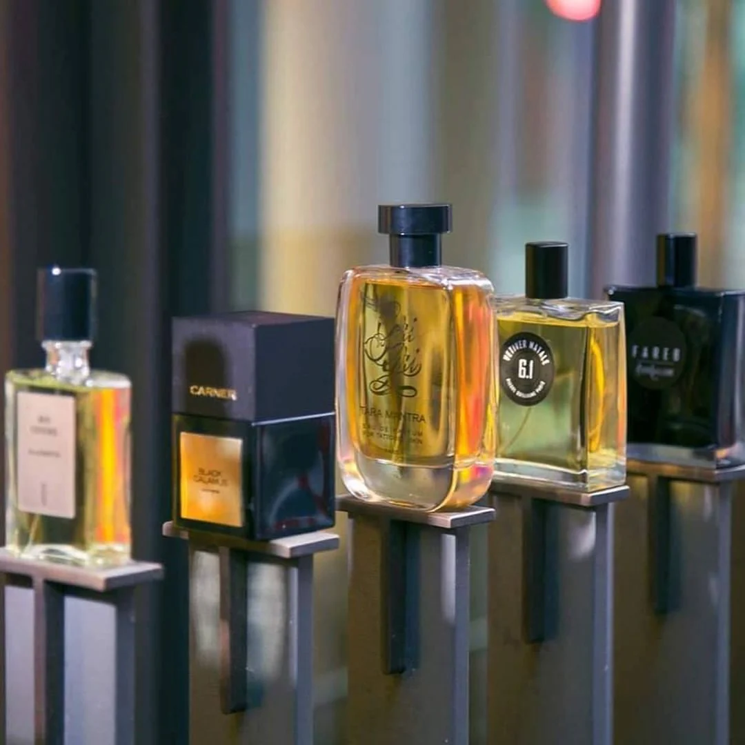 Extracting roots: perfume materials from under the ground - Image 2