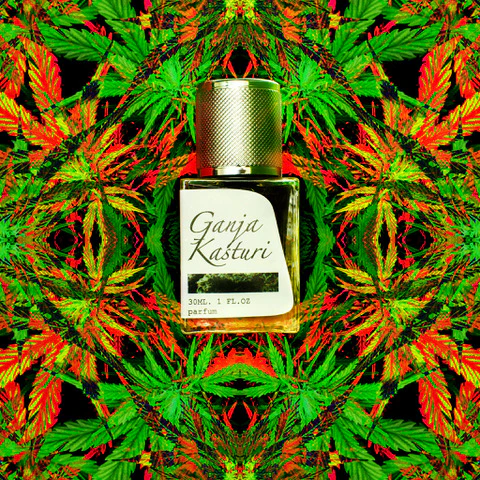 Ganja Kasturi - Image 2