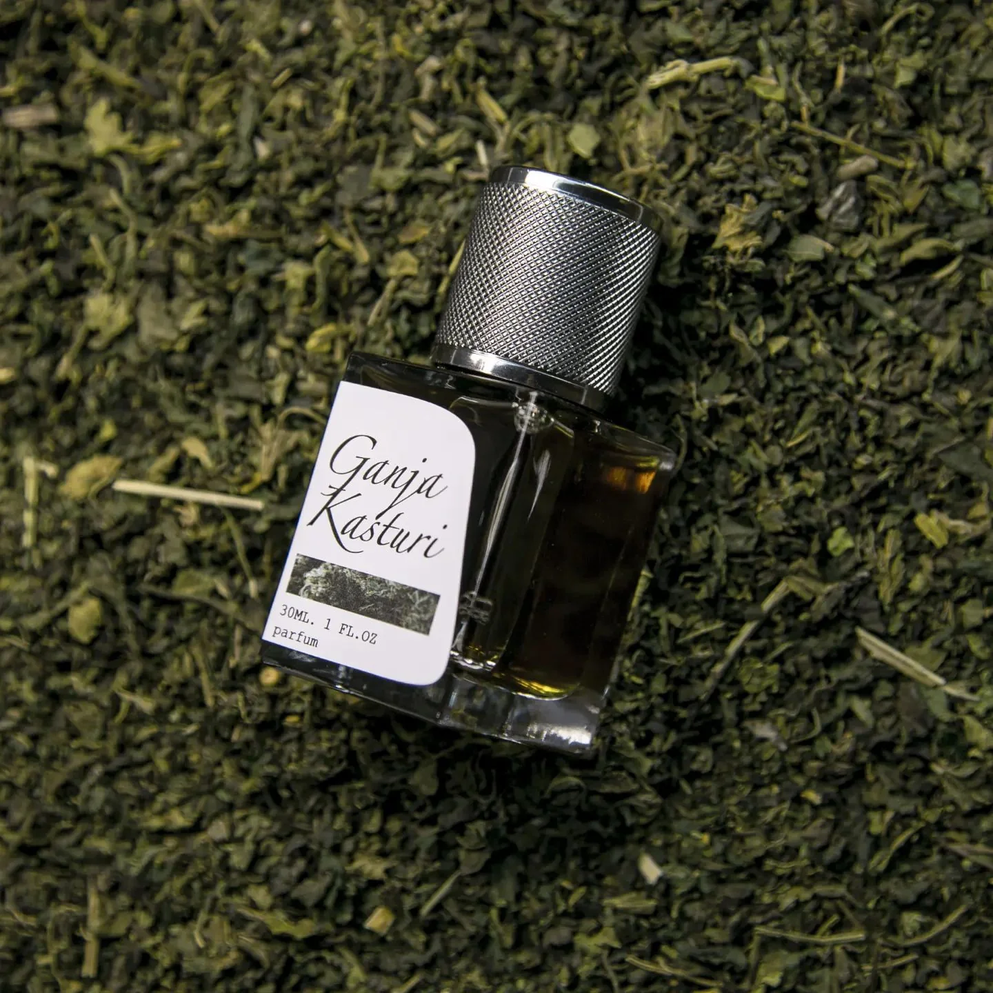 Ganja Kasturi - Image 4
