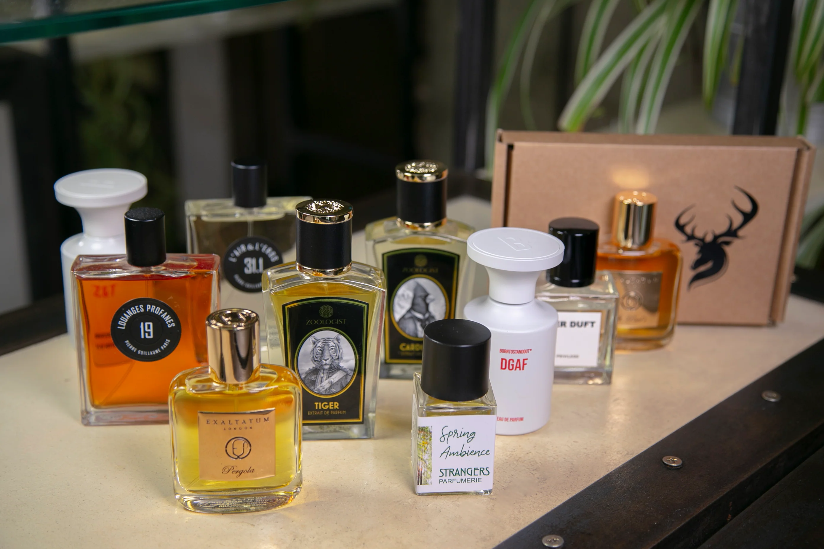 Ghzalh’s Spring Perfume Selection