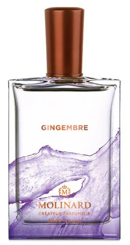 Gingembre