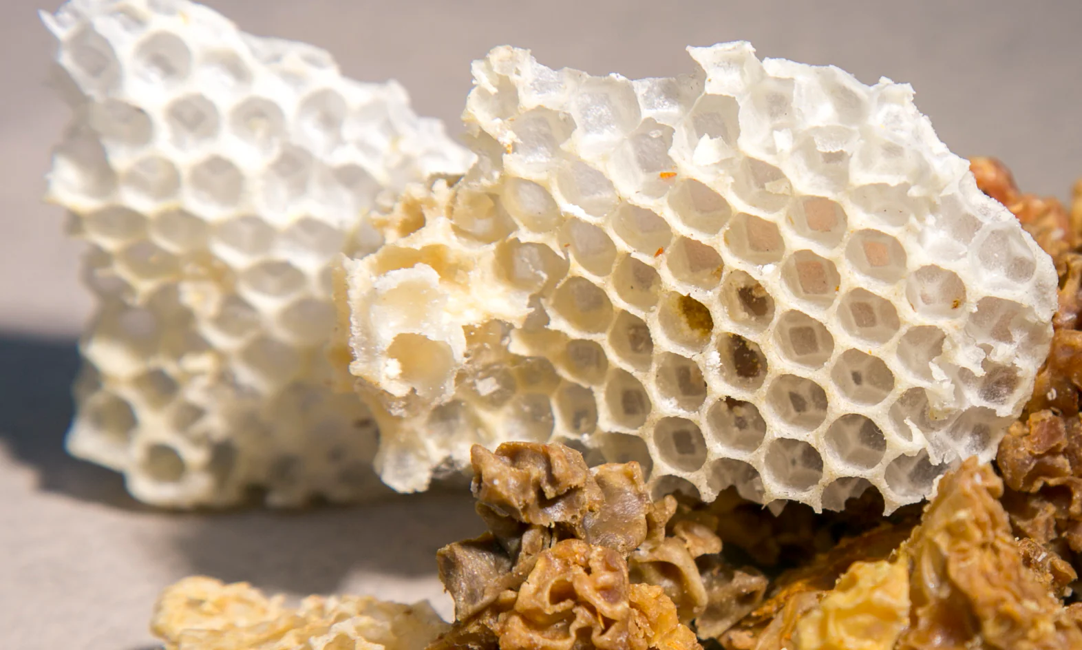 Honey Quest Pack