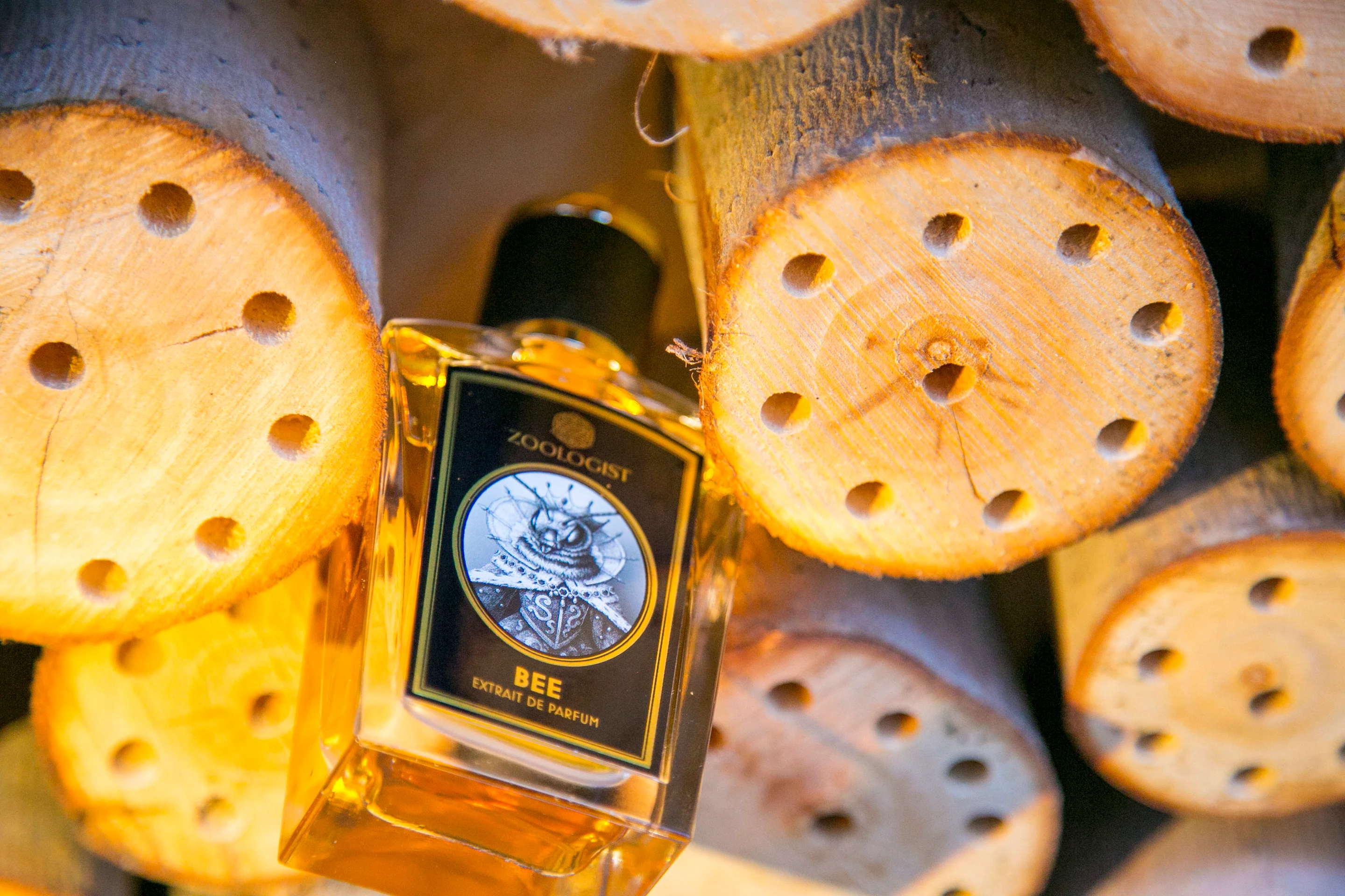 Honey Quest Pack - Image 2