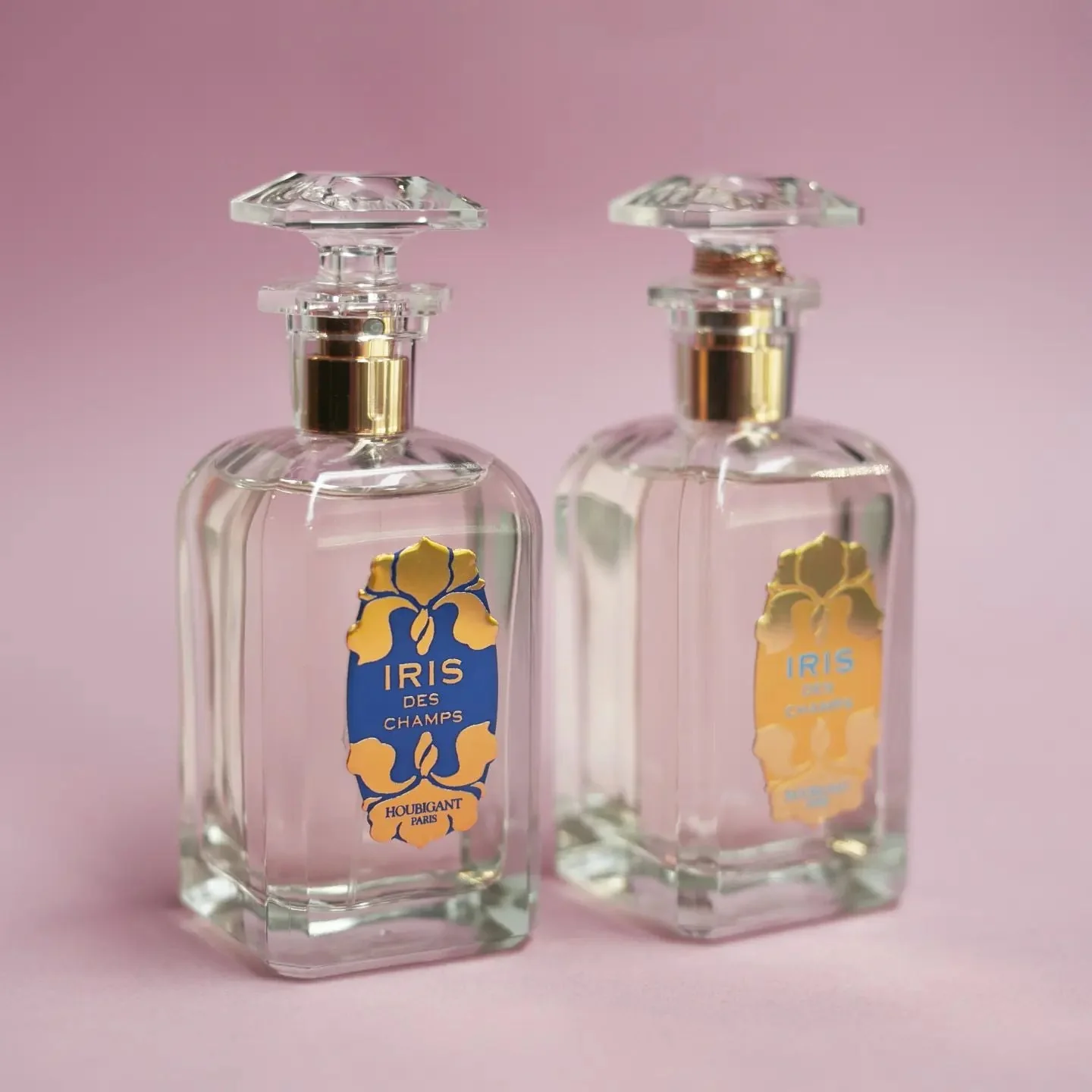 Iris des Champs (Discontinued) - Image 3