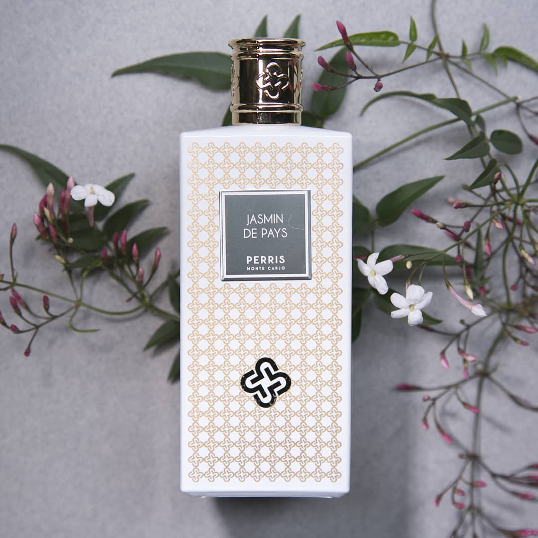 Jasmin de Pays - Image 3