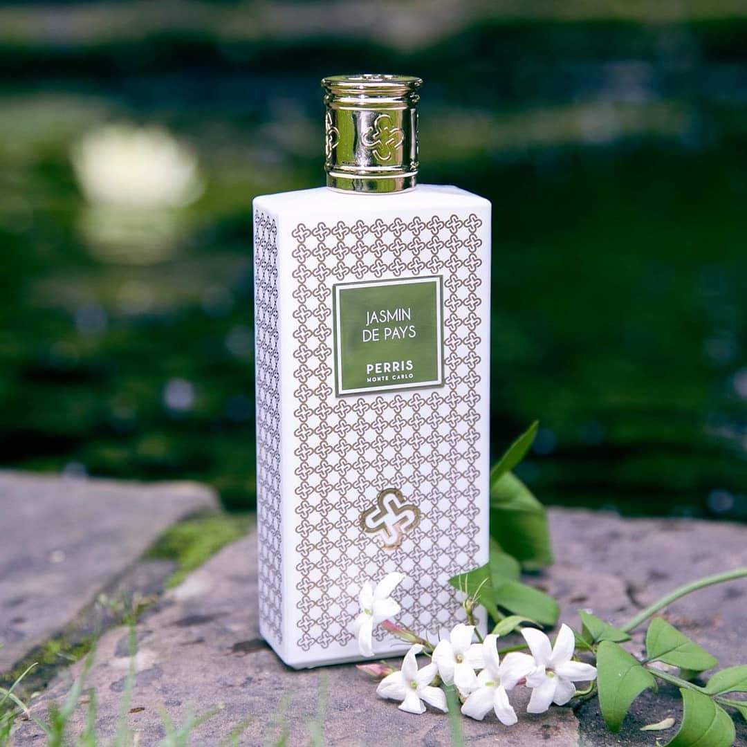 Jasmin de Pays - Image 4