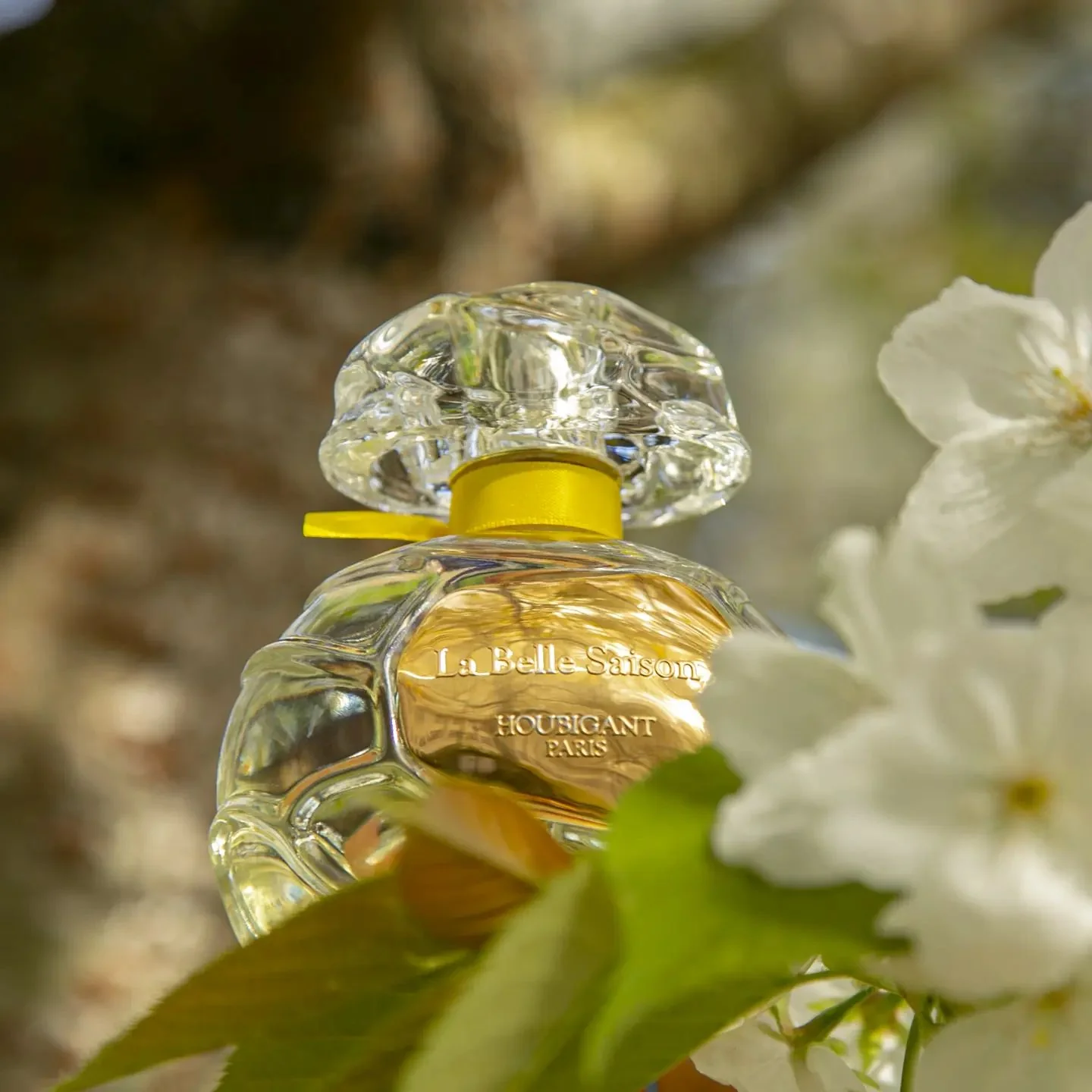 La Belle Saison (Discontinued) - Image 4