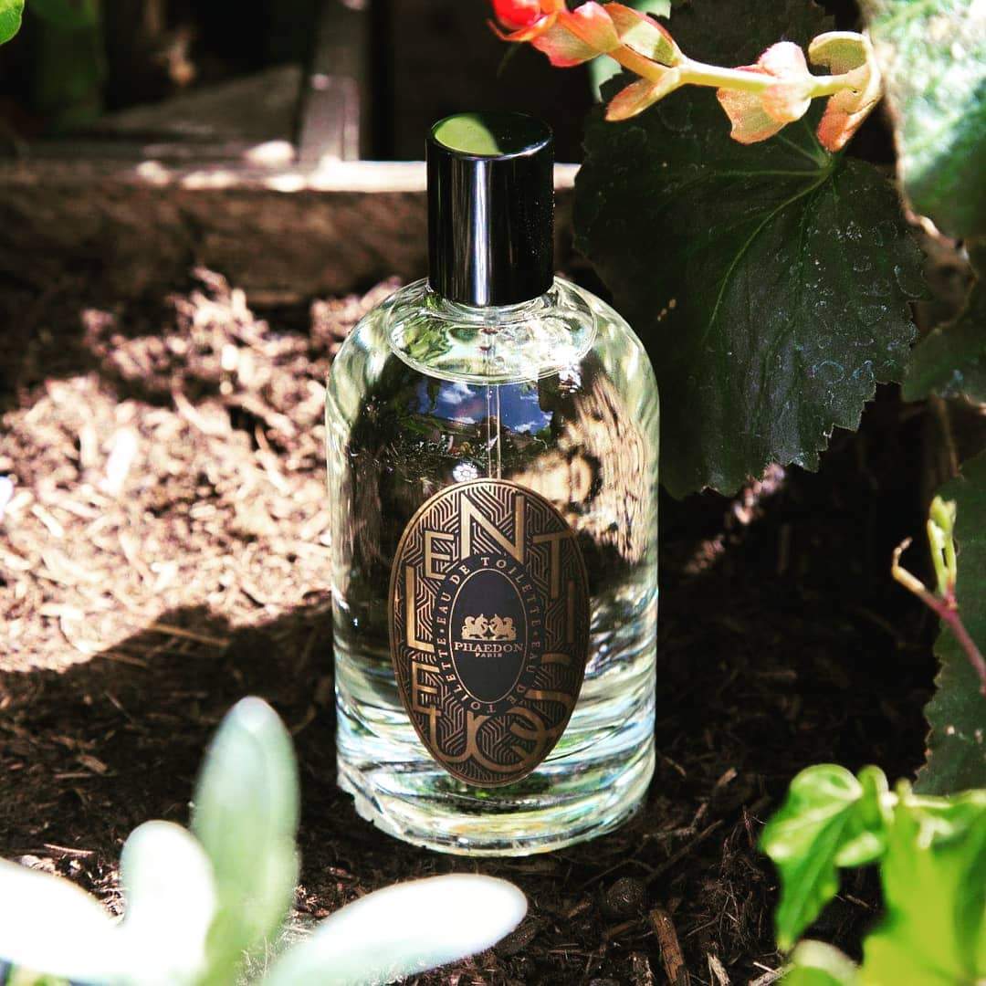 Lentisque (Discontinued) - Image 2