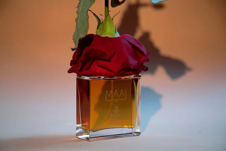 MAAI - Image 2