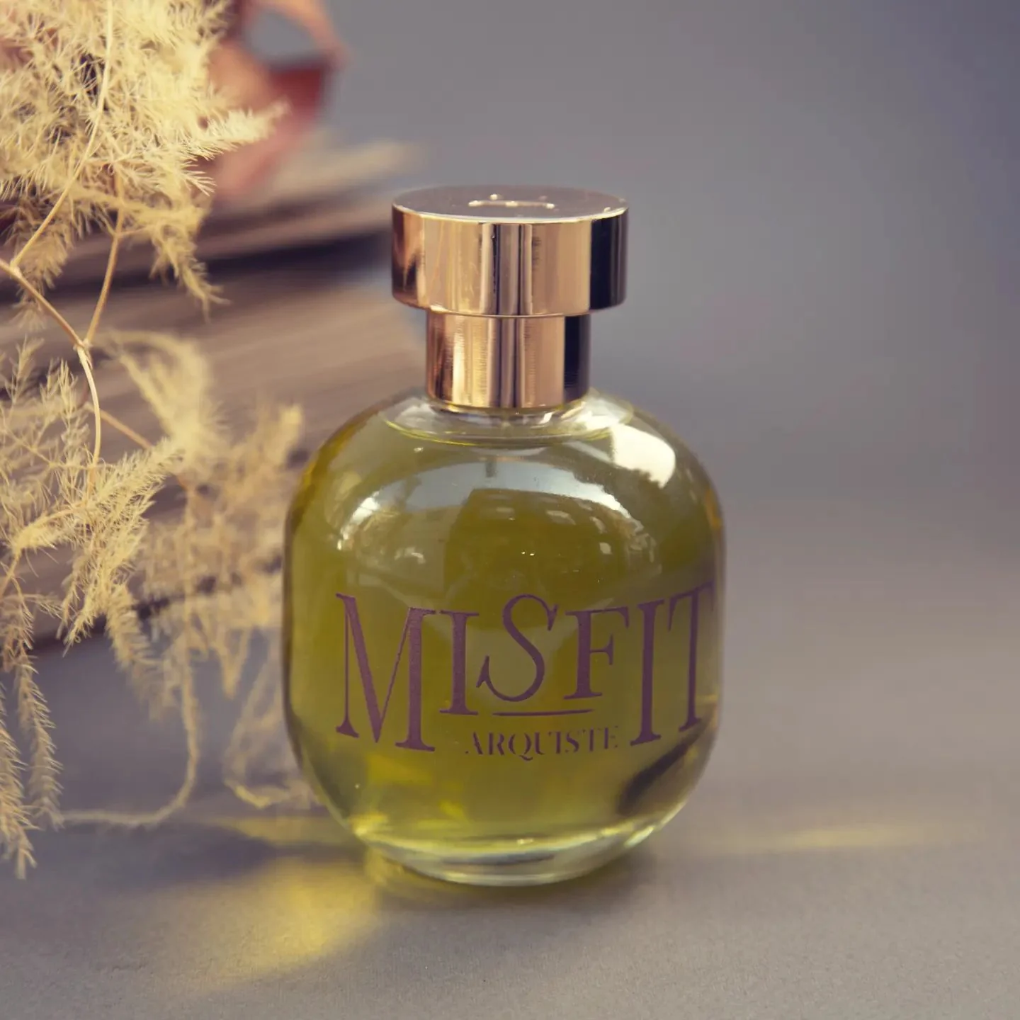 Misfit - Image 3