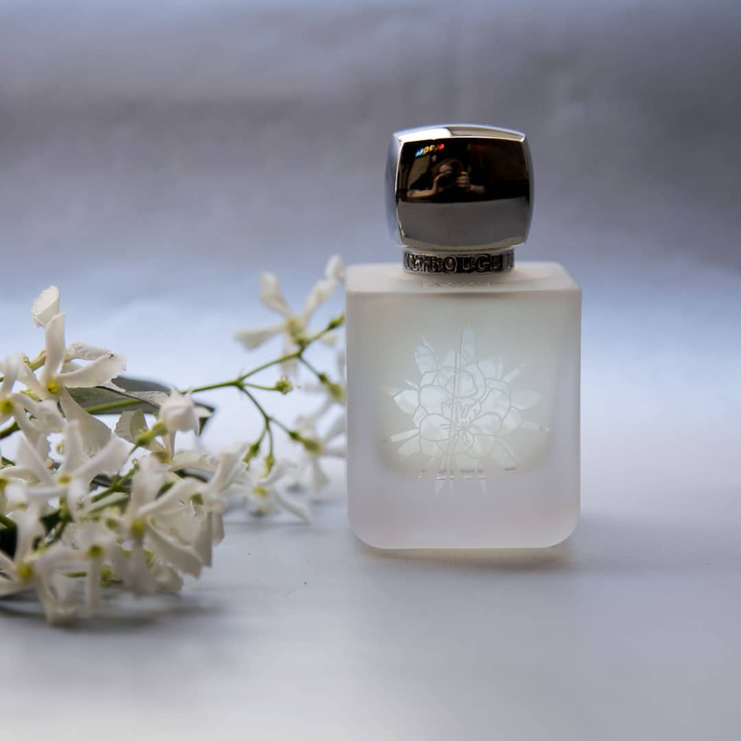 Muse (Discontinued) - Image 2