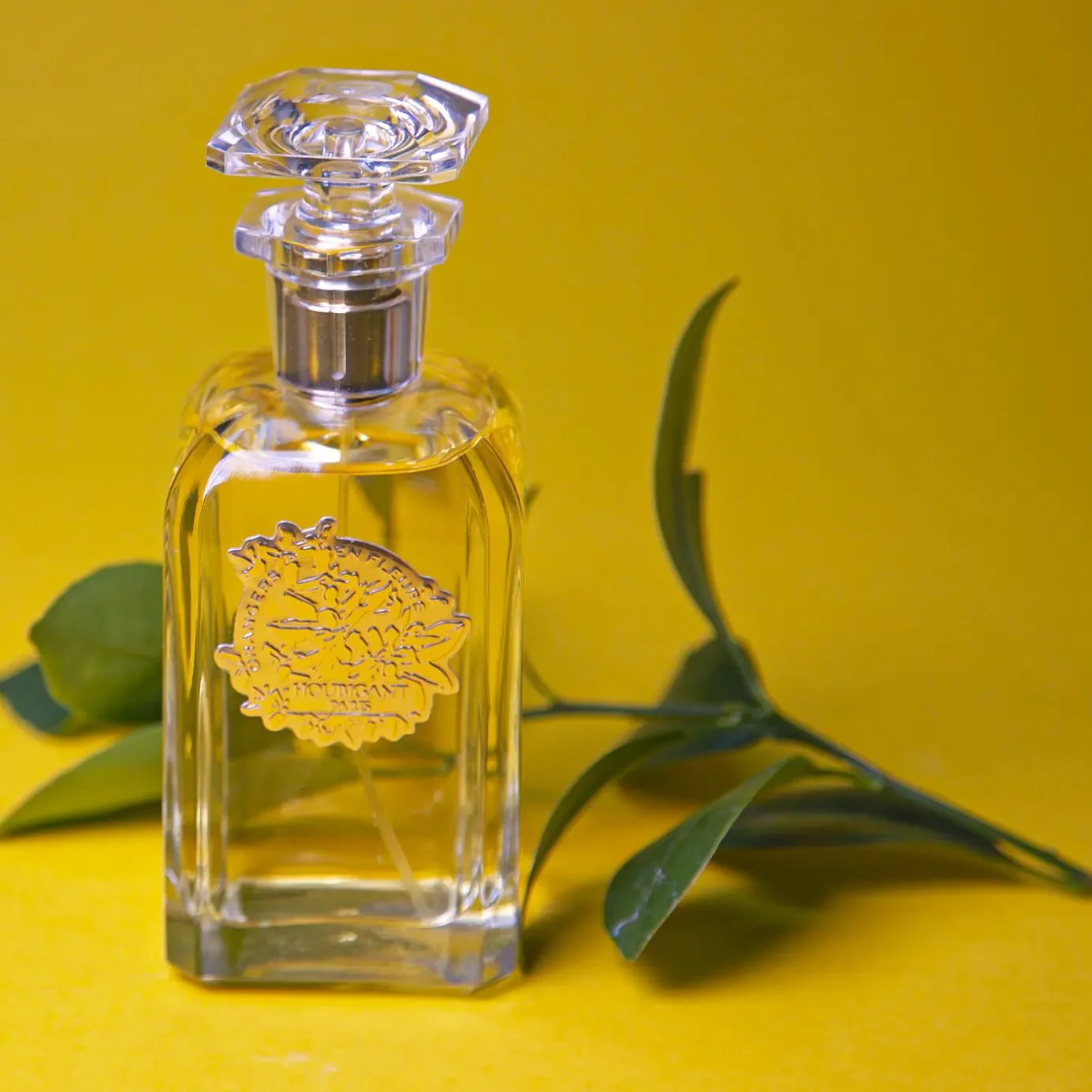 Orangers en Fleurs (Discontinued) - Image 3