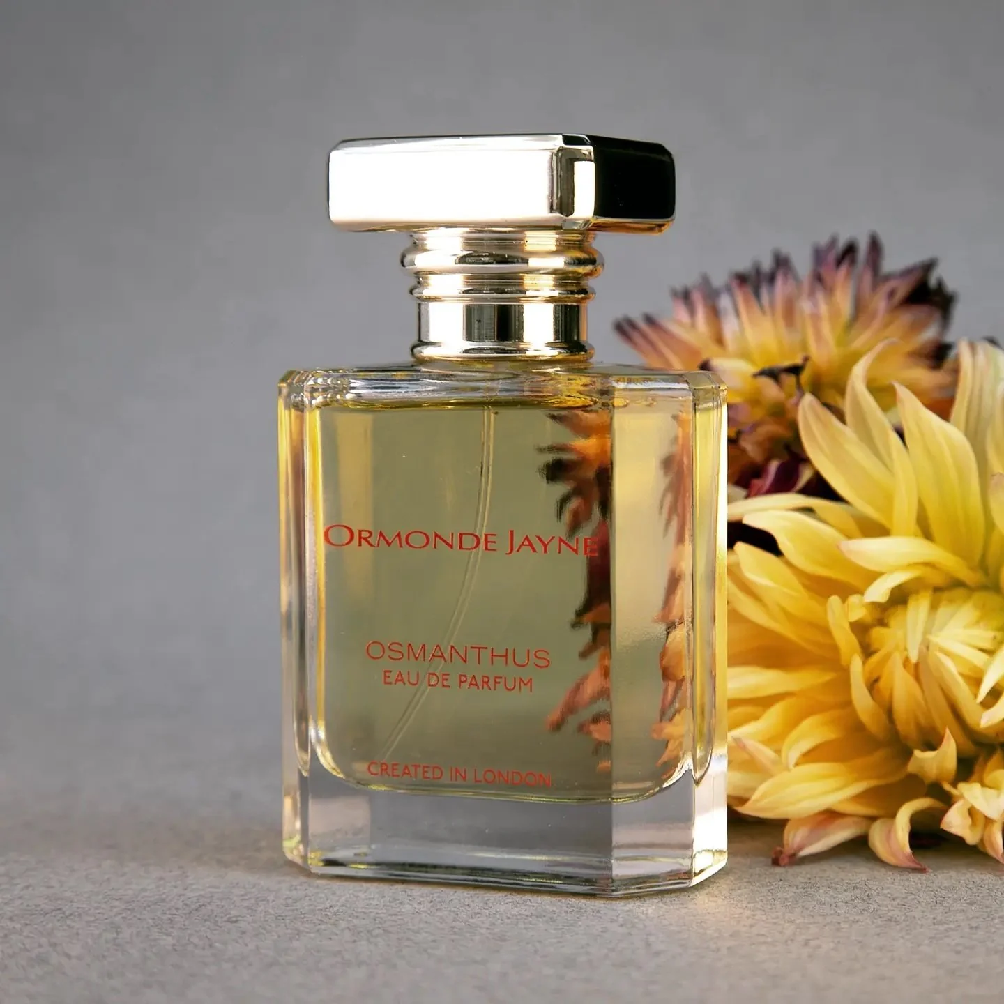 Osmanthus - Image 3