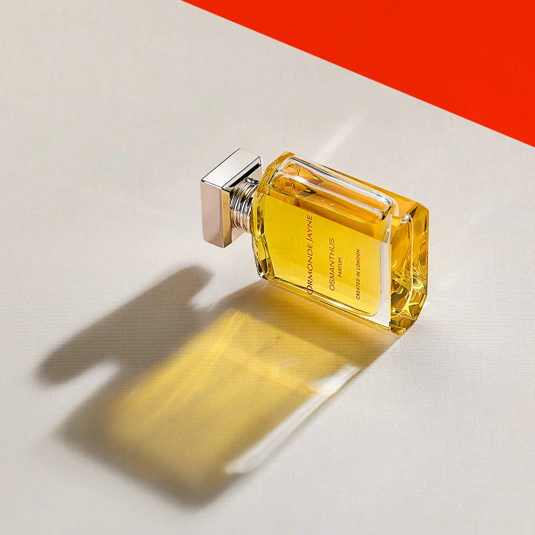 Osmanthus - Image 4