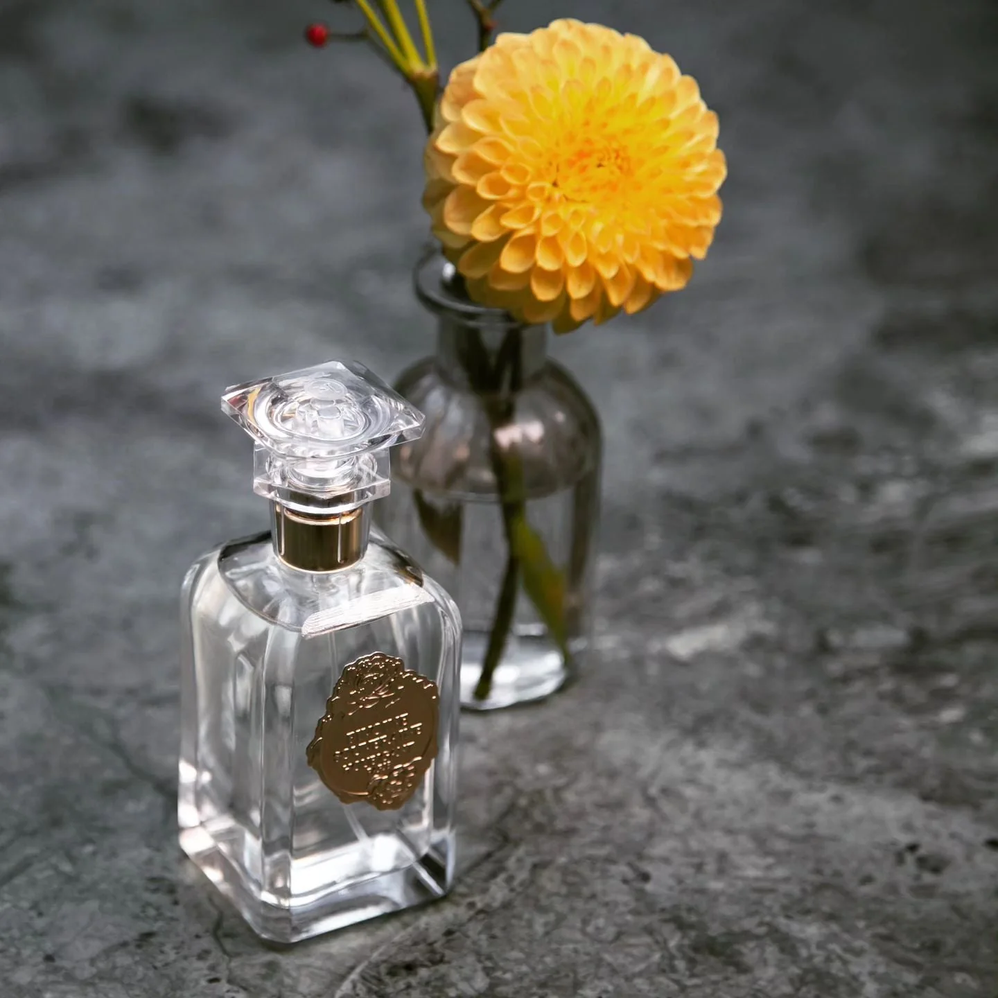 Pivoine Souveraine (Discontinued) - Image 2