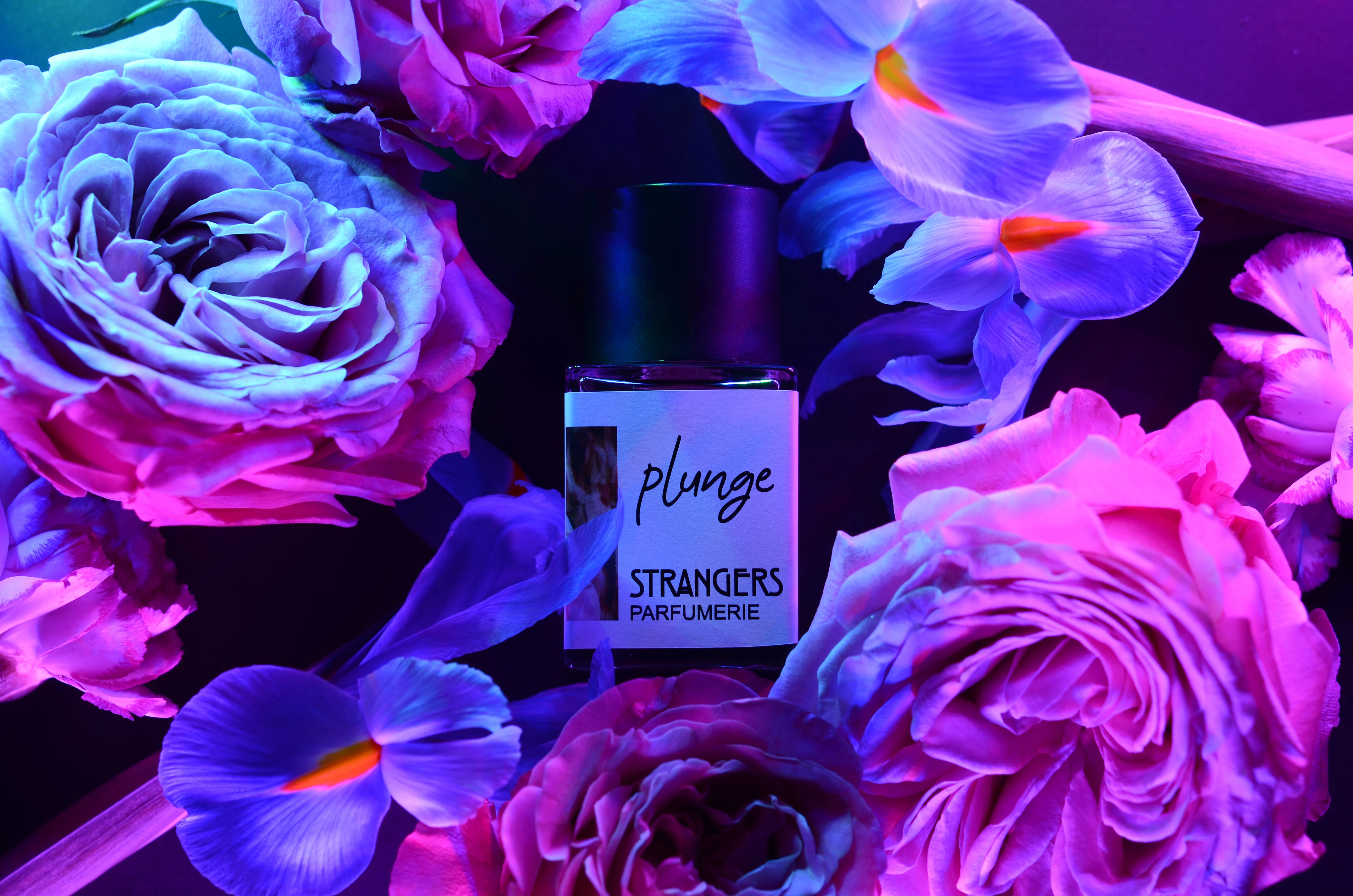 Plunge - Image 3