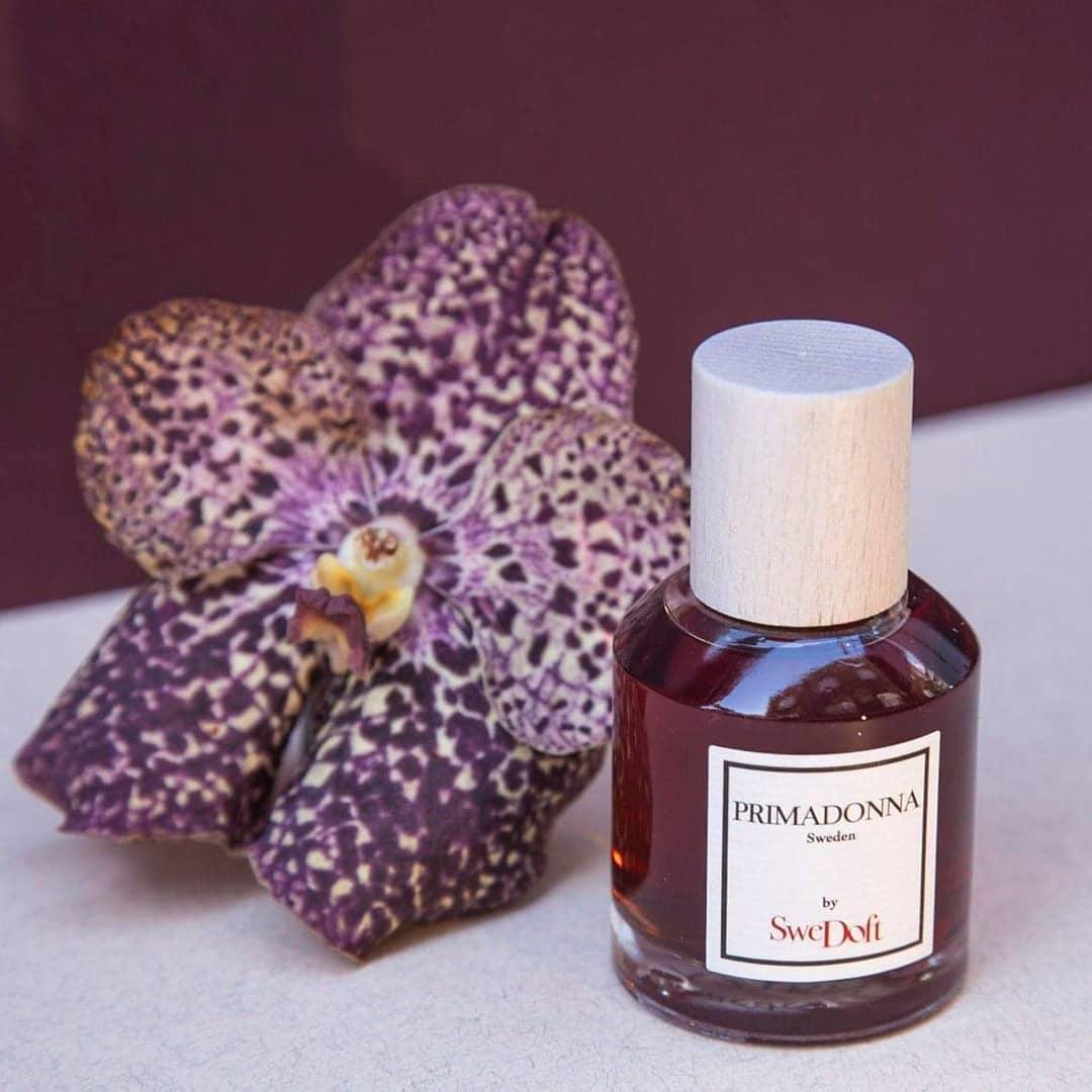 Primadonna (Discontinued) - Image 2
