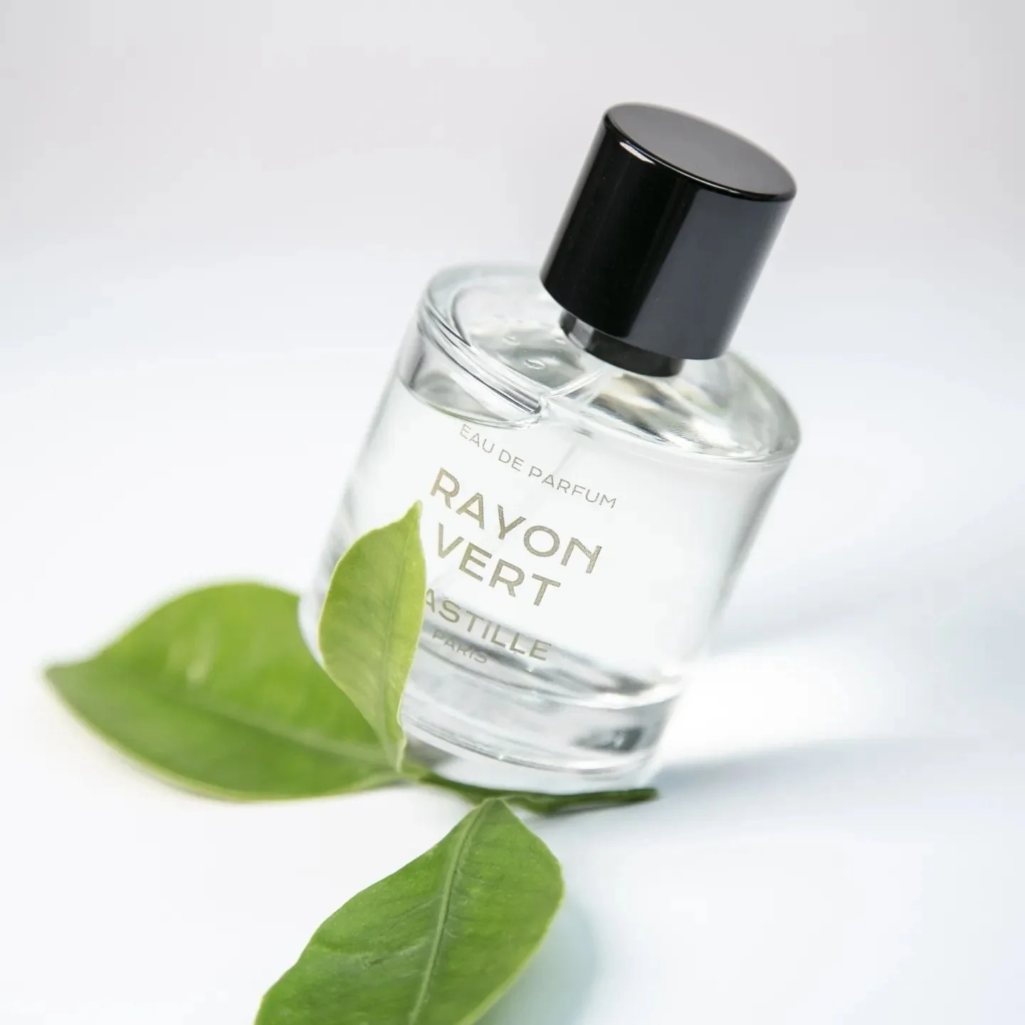 Rayon Vert - Image 3