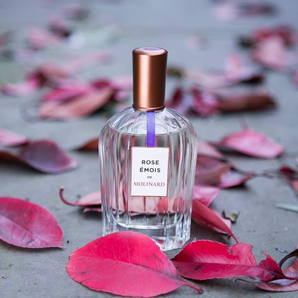 Rose Émois (Discontinued) - Image 2