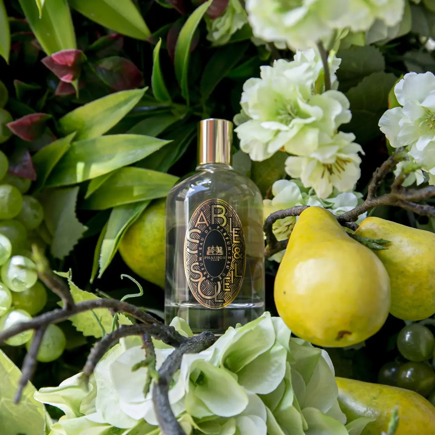 Sable & Soleil (Discontinued) - Image 3