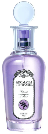 Scents of Nature | Blackcurrant & Mint (Discontinued)