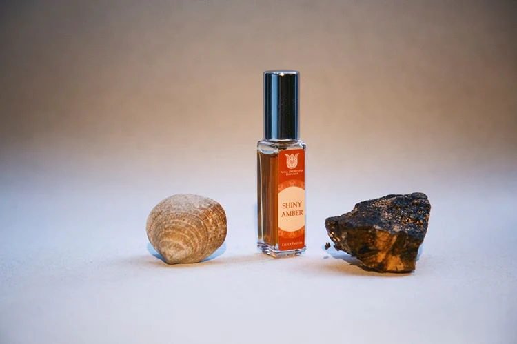 Shiny Amber - Image 5