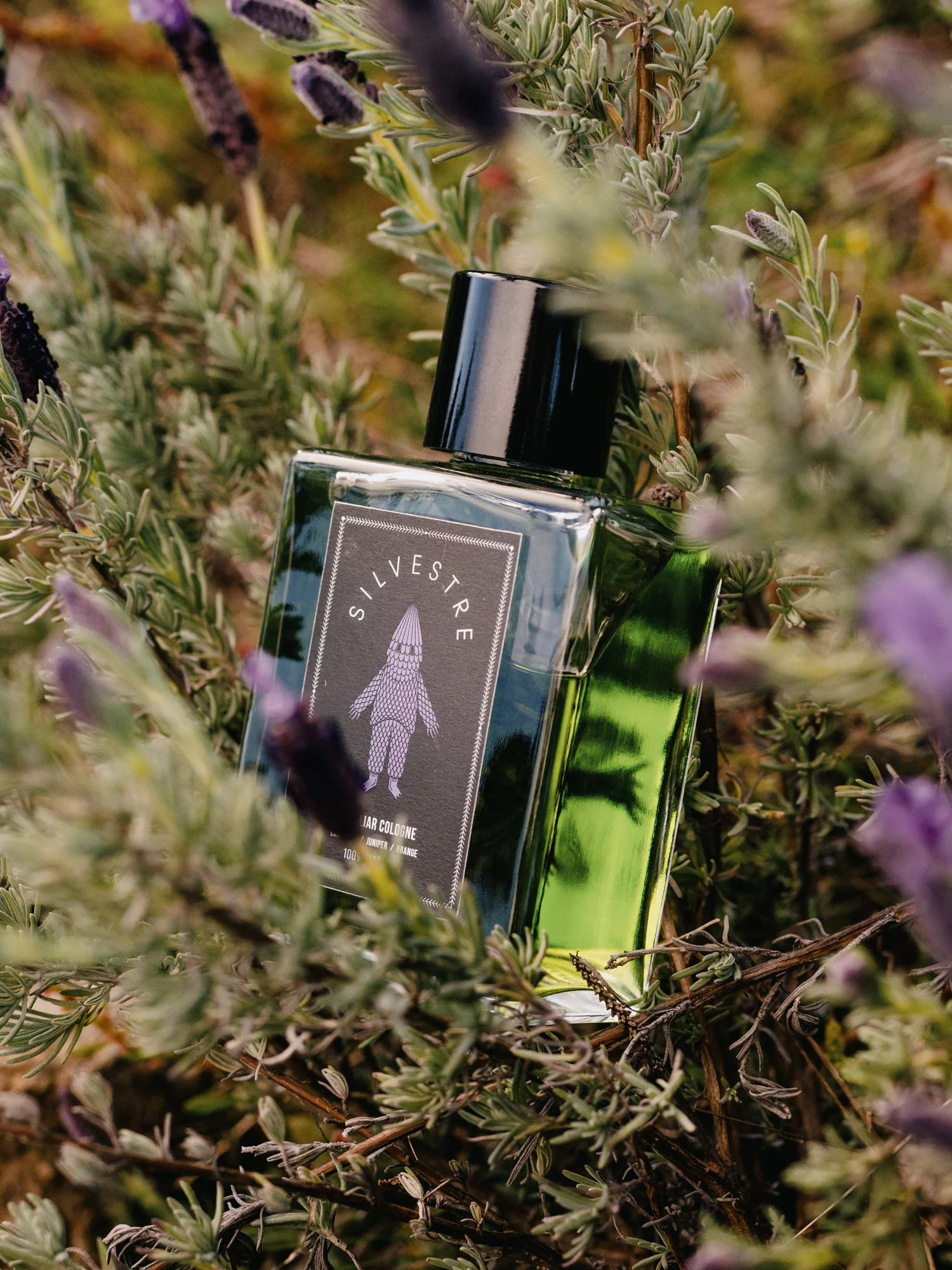 Silvestre Lavender - Image 2