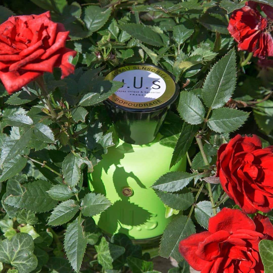 Sopoudrage - Image 3