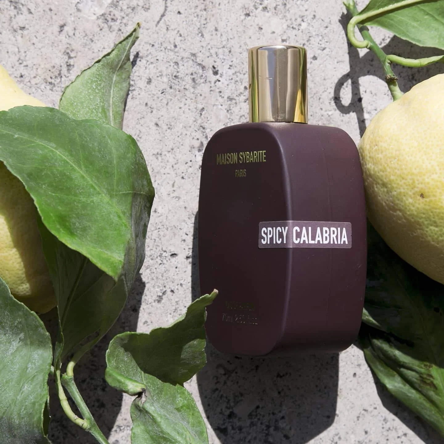 Spicy Calabria - Image 3