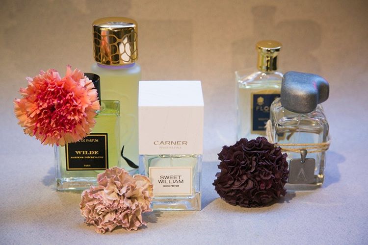 Sweet William (Discontinued) - Image 3